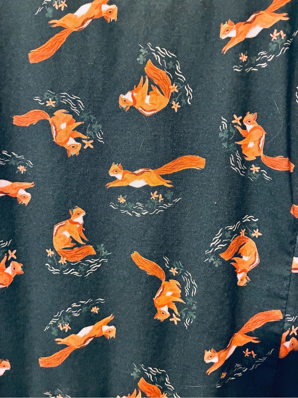 Retrolicious Green Squirrel Print Sleeveless Midi Dress - Picture 2 of 3